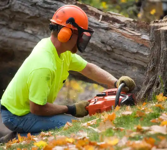 tree services Swan Quarter